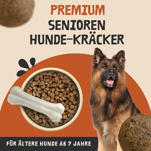 Ropo Dog Hunde Trockenfutter 15 kg – für ältere Hunde ab 7 Jahren, Senioren-Kräcker Vollnahrung mit Lecithin, leicht verdaulich, ohne künstliche Zusätze, Premium-Qualität für alle Rassen