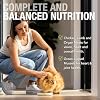 Feline Natural New Zealand Pate Wet Cat Food Pouch, High-Meat, Low-Carb, Grain Free Cat Food Wet, Chicken & Lamb, 3 oz, Pack of 12