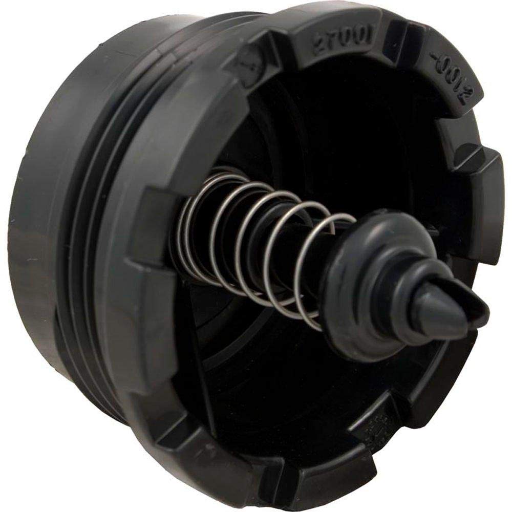 Pentair 27001-0130S Spring Check Valve Replacement Sta-Rite Pool/Spa D.E. and Cartridge Filter-image-48