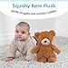 Kids Preferred 11 Inch Teddy Bear Brown Soft Plush Stuffed Animal Toy Gift for Kids and Toddlers - Carter's Squishy Bear