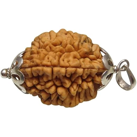 Arihant 2 Mukhi Rudraksha with Silver Pendant