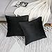 WLNUI Set of 2 Soft Velvet Black Pillow Covers 18x18 Inch Square Decorative Throw Pillow Covers Cushion Case for Sofa Couch Home Farmhouse Decor
