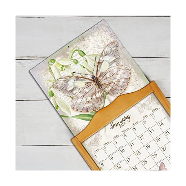 LANG Wandkalender 2023 Schmetterlinge – Bild 7