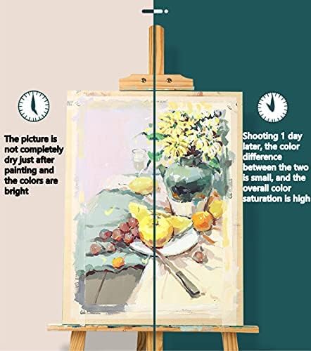 AOOK HIMI Gouache Paint Set Jelly Cup 56 Vibrant Colors Non Toxic Paints with Portable Case Palette for Artist Canvas Painting Watercolor Papers, Rich Pigment, (56 coler white)