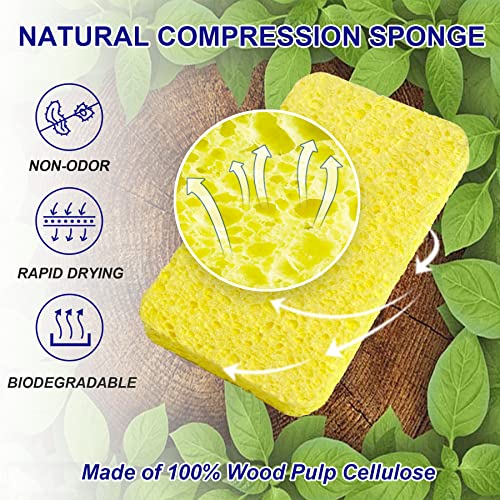 Save 50% on CELOX 12 Pack Compressed Wood Pulp Sponges - Image 2