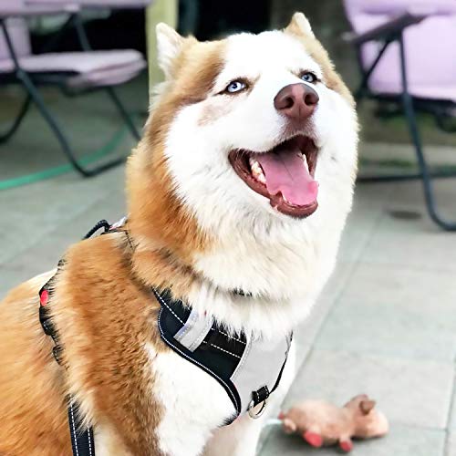 Big Dog Harness No Pull Adjustable Pet Reflective Oxford Soft Vest For Large Dogs Easy Control Harness (M, Silver) #TOP5