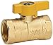 Homewerks VGV-2LH-B4CB Gas Ball Valve, Female Thread x Female Thread, Brass, 3/4-Inch