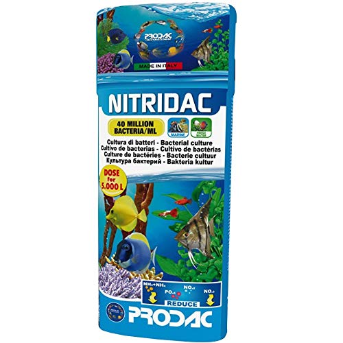 prodac Nitridac 250ml Cultivo de bacterias para acuarios