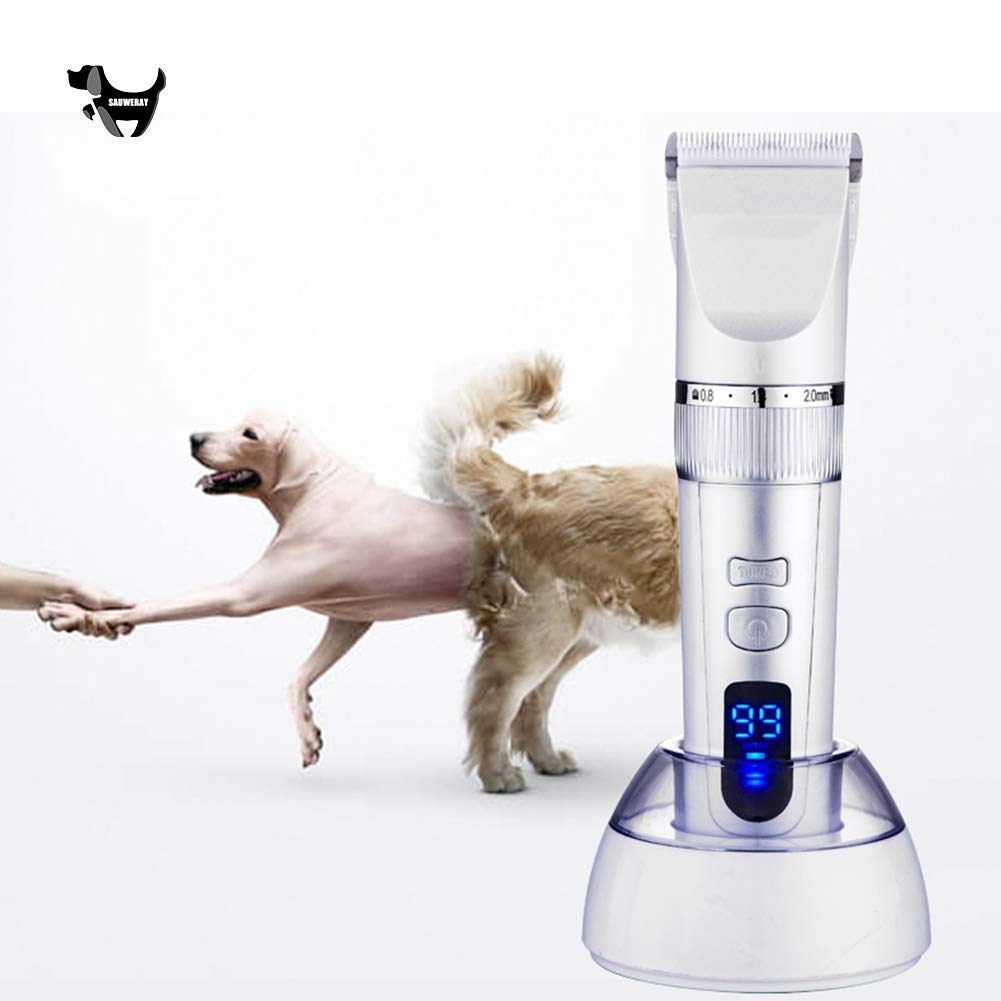 Tondeuse poils de chien et chat rechargeable avec écran LCD et socle de charge 360