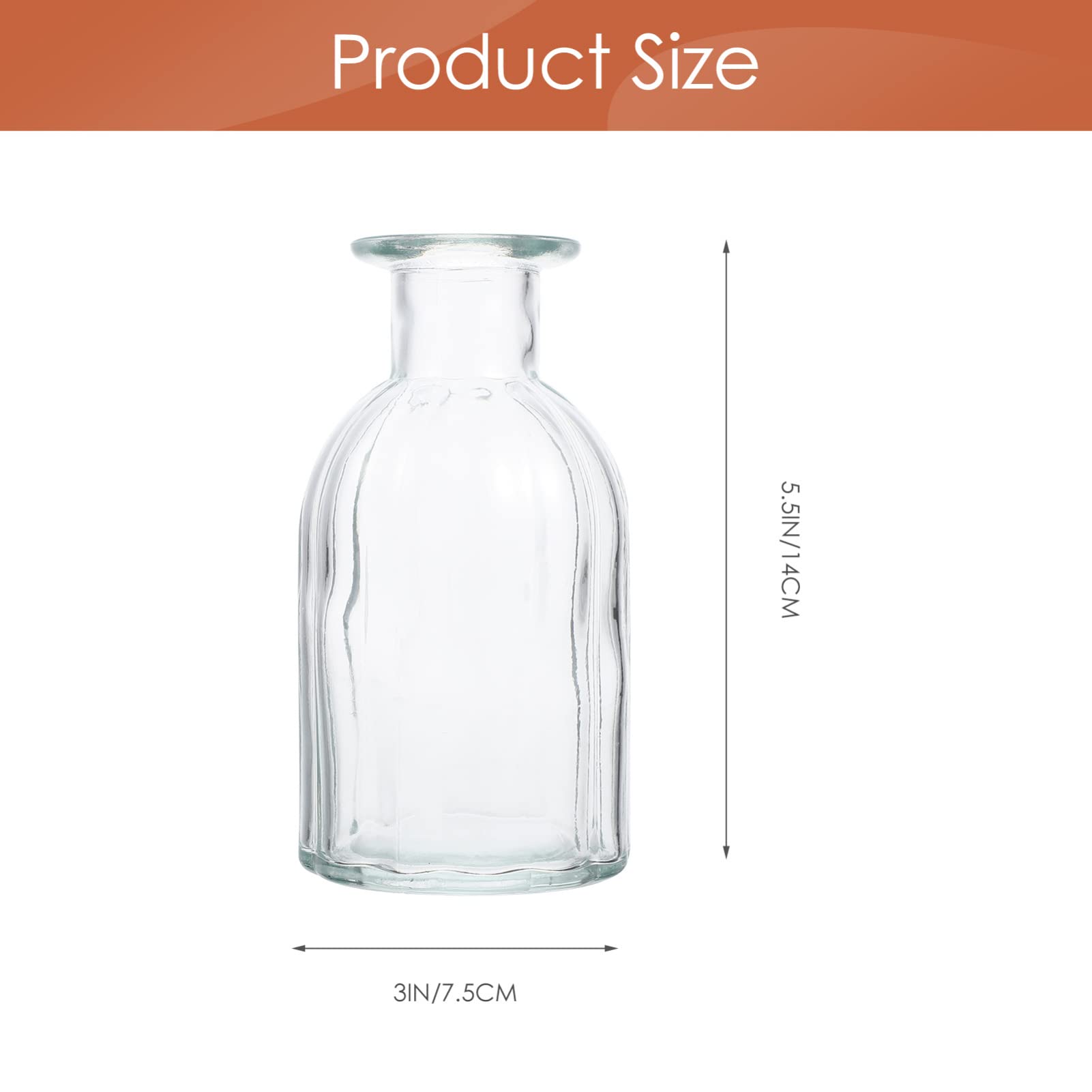 Vase Hydroponique Mini 4 Pcs en Verre pour Fleurs, Décoration