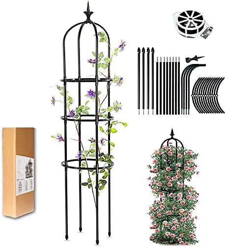 ASSRECT Rankhilfe Obelisk 156 Cm - Metall Rankgitter Für Rosen & Kletterpflanzen