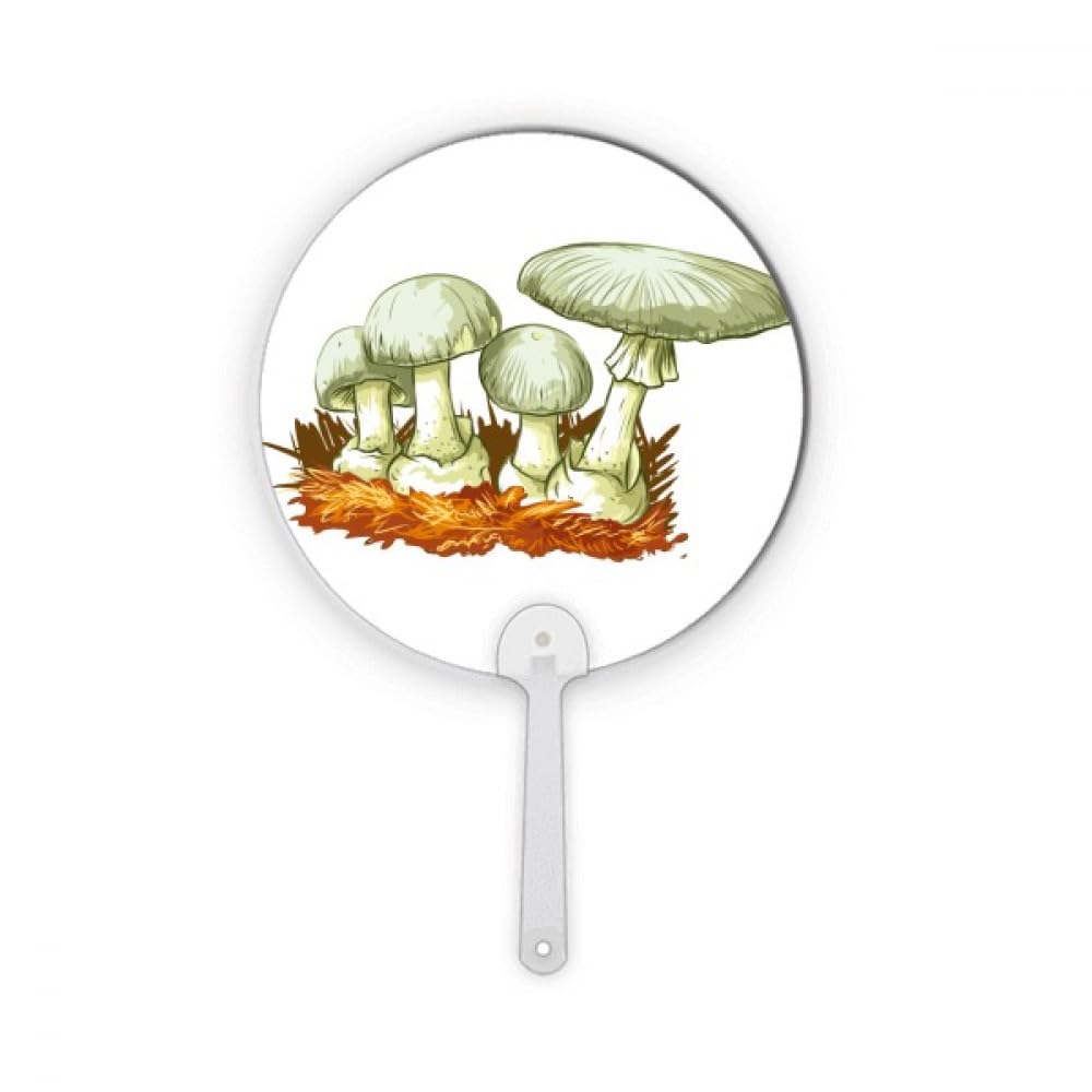 Éventail rond portable champignon frais pour pique-nique et décoration d'été