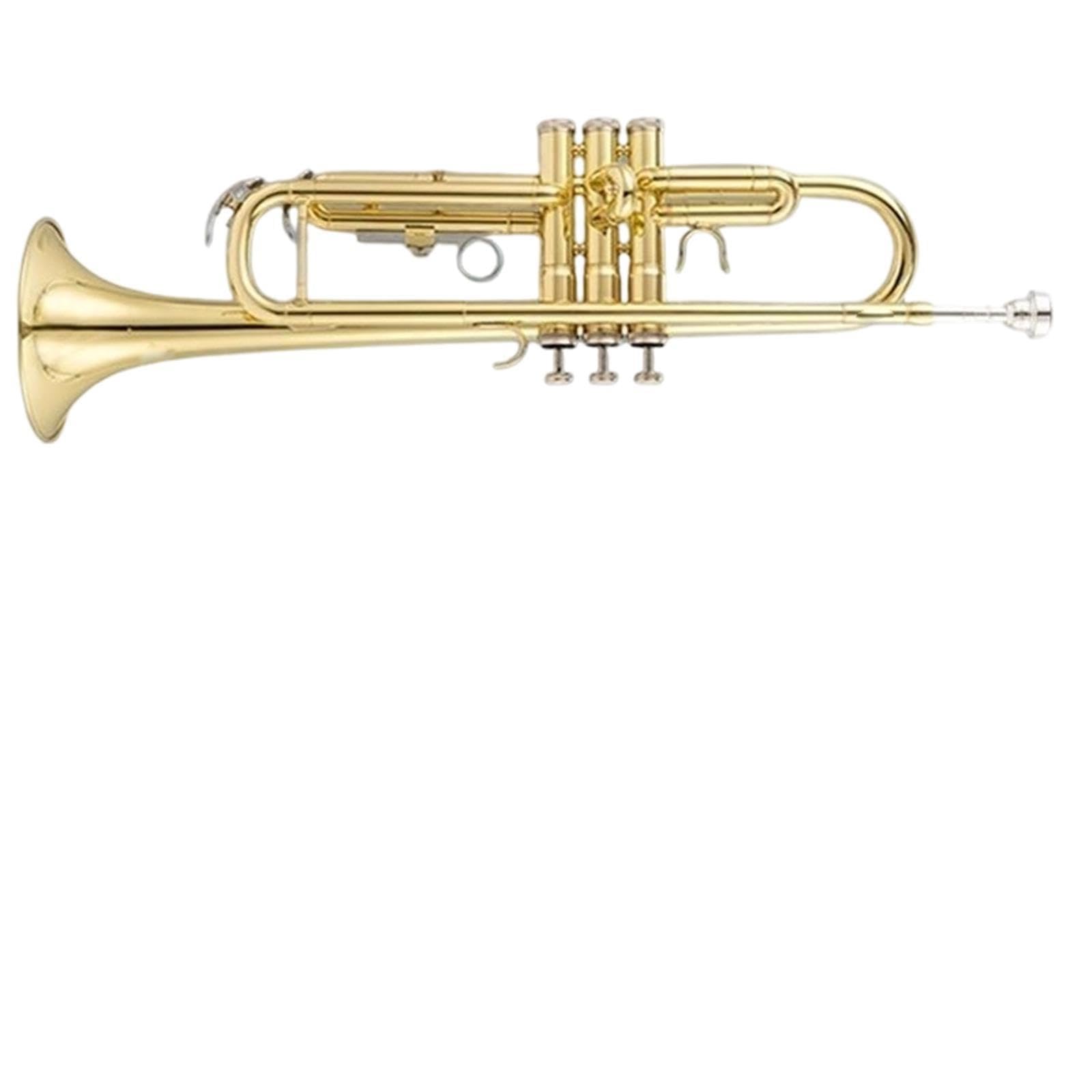 Professional Trumpet Trompeta en si bemol para principiantes