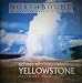 Echoes of Yellowstone