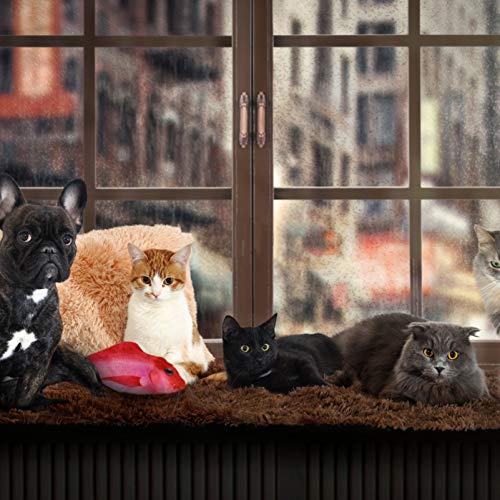 TOYANDONA Brinquedo elétrico para gatos e peixes, brinquedo de mastigar interativo para gatos, gatos