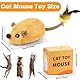 Pipihome Katzenspielzeug Elektrisch Spielmaus, Magic Maus Katze, Interaktives Katzenspielzeug Maus mit Federschwanz USB Wiederaufladbares Interaktive Spielzeug für Katzenauslauf und Gegen Langeweile