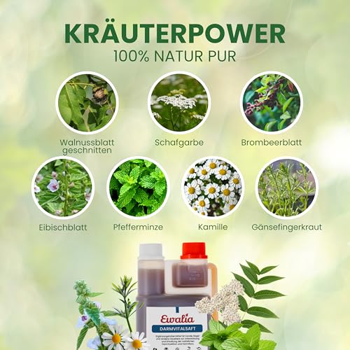 EWALIA Darmvitalsaft | 500 ml | Ergänzungsfuttermittel für Hunde & Kleintiere | Mit Schafgarbe