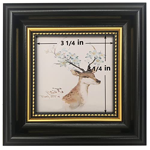 Framewold 4X4 Picture Frame Black Square Frames Desktop Display Mount On The Wall.front Opening: 3.5 X 3.5 Inch.plexiglass Panel (Not Glass), Plastic Packaging (Not Carton). #TOP2