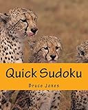 Quick Sudoku: Fast, Fun, and Easy Sudoku Puzzles