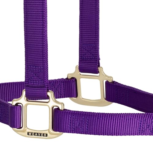 Licol nylon violet Weaver S : la solution fixe contre les dérèglements de muserolle - 5