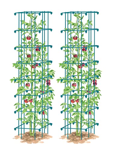 Gardeners Supply Companysquare Heavy Gauge Extra Tall Easy Fold Tomato Cage | Easy To Assemble Plant Support Cages & Vegetable Garden Stake Fence | 14.25" X 14.25" X 65" - Green (Set Of 2) #TOP3