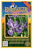 Everwilde Farms - 15 Northern Blue Flag Native Wildflower Seeds - Gold Vault Seed Packet