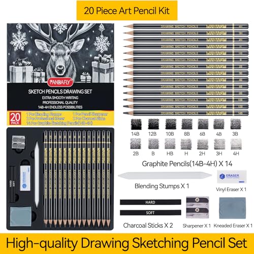 PANDAFLY Conjunto de lápis de esboço para desenho, kit de esboço profissional de 20 peças, lápis de