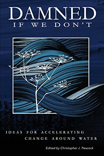 Damned if We Don't!: Ideas for accelerating change around water