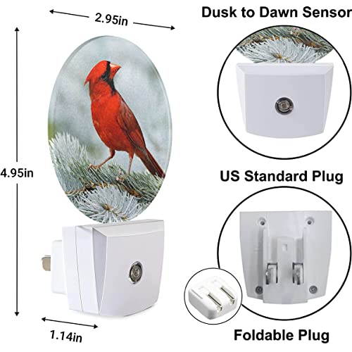 Image of Cardinal Night Light Northern Red Bird On Tree Branch Plug-in Nightlight LED Auto on /Off for Hallway Stairway Kitchen Men Women Bedroom