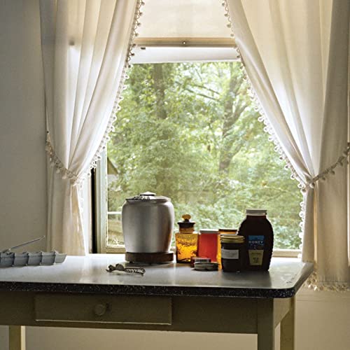 Applesauce by Ted Kooser Podcast Por  arte de portada