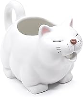 ISTOOLL 23oz Hand-Painted Cat Gravy Boat - Fine Porcelain Dripless Saucier for Gravy, Sauces, Microwave & Dishwasher Safe
