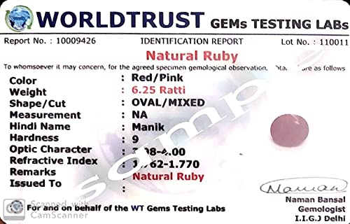 Pierre de Manik naturelle rubis 13,50 carats AA++ ajustable
