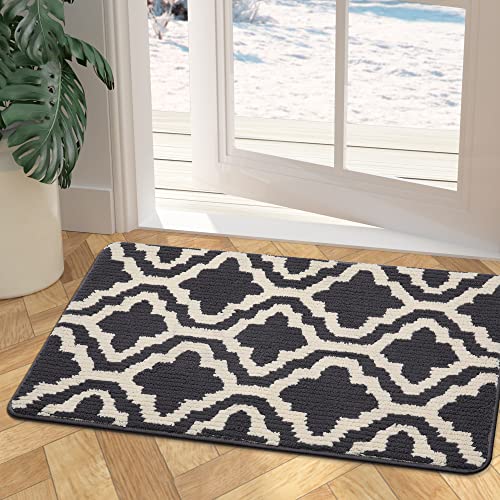 Kitinjoy Indoor Door Mat, 24"x 36" Front Door Mat, Non-Slip Absorbent Resist Dirt Entrance Rug, Machine Washable Low-Profile Inside Floor Mat Door Rugs for Entryway Home Decor, Dark Grey