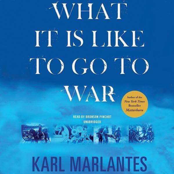 Cover art for What It Is Like to Go to War