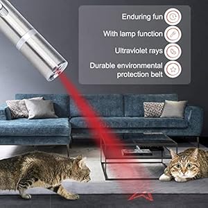 Cat Laser Pointer Toy for Indoor Cats Dogs Laser Light Toy for Pets Led Red Light with Collar for Cats Pets Adjustable Safety Puppy 2pcs Red  Green silver  Cucciolini Doodles Cat laser pointer toy for indoor cats dogs laser light toy for pets led red light with collar for cats pets adjustable safety puppy 2pcs red  green silver   cucciolini doodles