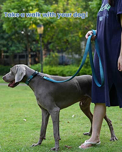 PETTOM Collare Cane Cani Cuccioli Piccola Taglia