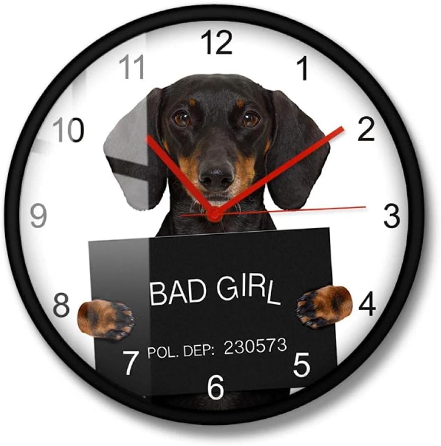 Can You Have A Dog In Jail