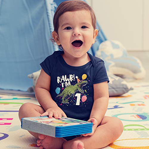 Rawr I'm One 1st Birthday Dinosaur Shirt or Bodysuit One Piece for Baby Boy/Girl Turning 1 Years Old Outfit2