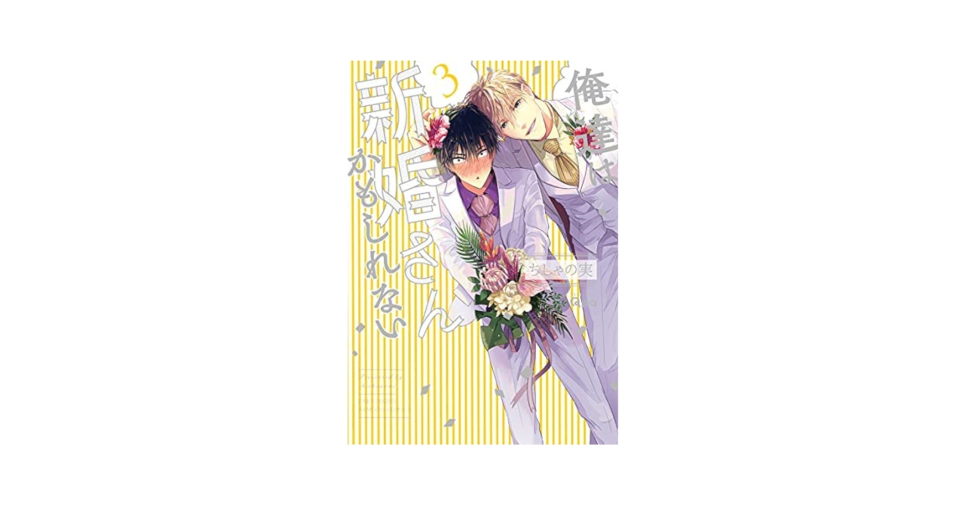 俺達は新婚さんかもしれない 2・3・4　ちしゃの実　計16種付 6/15発売 ちしゃの実先生『俺達は新婚さんかもしれない 4』書店