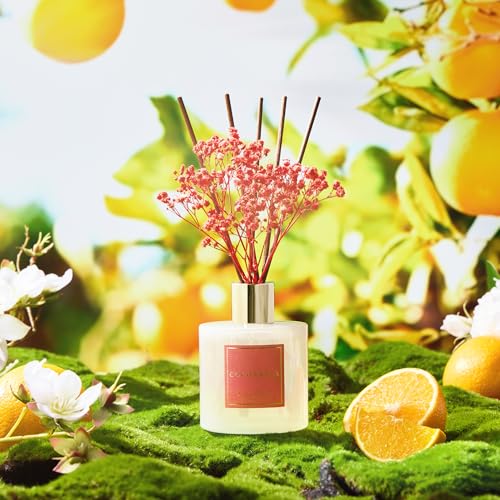 Image of COCORRINA Reed Diffuser - Orange Blossom 6.76 Fl.oz Reed Diffuser Sets with Preserved Flowers, Diffuser with 8 Sticks for Bathroom Shelf Decor