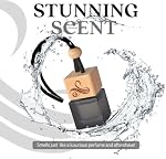 Greed Car Air Freshener for Men | Aventos Perfume Inspired Car Fragrances | Strong Car Freshener with Car Odor Eliminator Technology | Long Lasting Car Scents by Perfa
