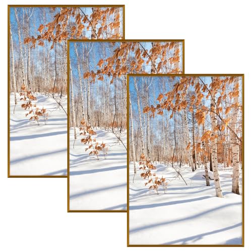 Golden State Art, 20x30 Aluminum Picture Frame, Bronze Metal Thin