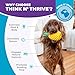 Outward Hound Planet Dog Dental Ananas Dental Chew Toy and Interactive Treat Stuffer Durable Dog Toy Stuffable Dog Toy, Yellow