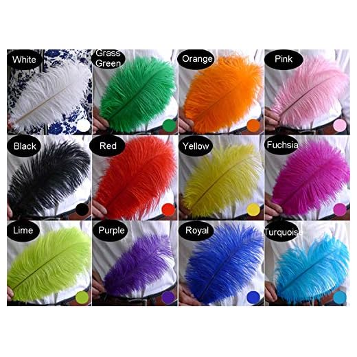 Selene Lot de 10 Plumes d'autruche, Pompons à Faire soi-même, Table de Mariage, Noël, Halloween, Carnaval, décoration de Centre de Table, Citron Vert, 8"-10"