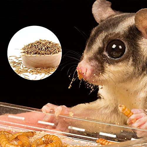 LuckyQworms Mealworms, High-Protein Dried Mealworms for Birds, Chickens, Turtles, Fish, Hamsters and Hedgehogs, Non-GMO… - Image 5