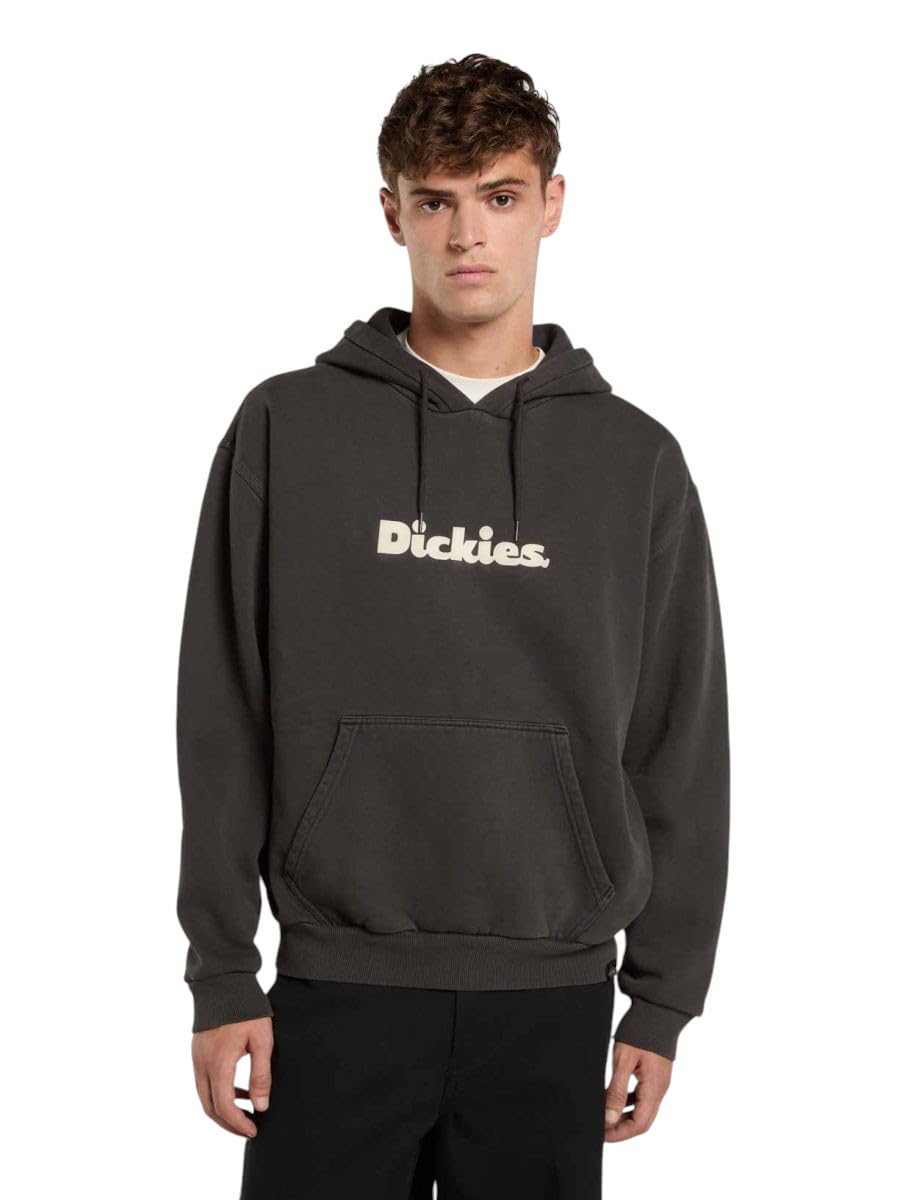 Dickies Men's Slayden Pullover Hoodie, Black, L