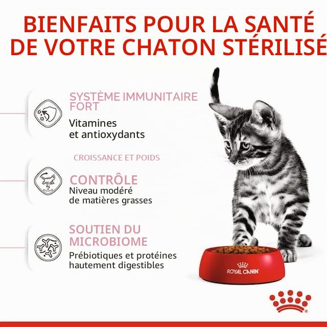 Royal Canin Kitten Sterilised | Pack de 3 | 3 x 400 g | Aliment Complet pour Chats | Spécialement conçu pour Les Chats castrés en Pleine Croissance, de 6 à 12 Mois
