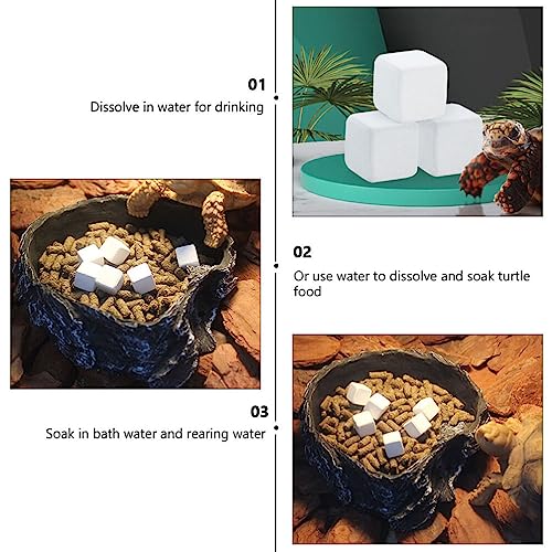 POPETPOP 12Pcs Rettile Piattaforma Roccia Fish