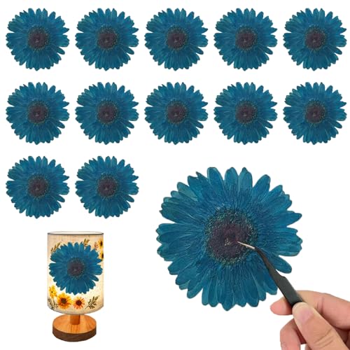 Flores secas prensadas girasoles azules grandes para manualidades miniatura 1