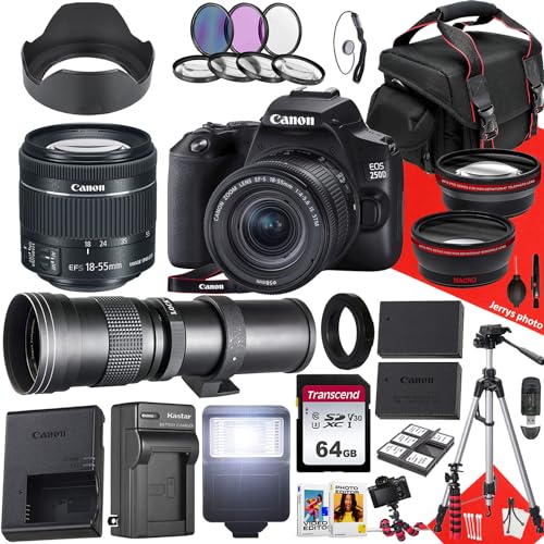 Canon EOS 250D / Rebel SL3 DSLR Camera with EF-S 18-55mm f/4-5.6 is STM and 420-800mm f/8.3 HD Telephoto Zoom Lens + 64 GB Memory + Filters + Tripod + More (36pc Bundle) (Renewed), Black